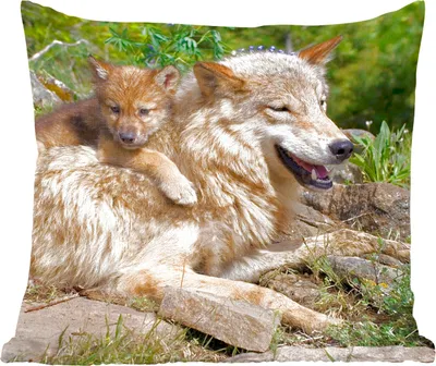 Produktbild von MuchoWow® Zierkissen Sofakissen Wohnzimmer Dekokissen 45x45 cm Wolf - Jungtier - Tier - Schlafpolster - Polster für das Sofa