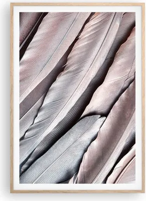Produktbild von Gerahmtes Poster - Rahmen in heller Eiche - Federn Flügel Feder - 70x100 cm - Wand Bild - Wanddeko - Wandbilder - Kunstposter - Wandposter - Bilderrahmen - Bilder - Kunstdruck - P2NPA70x100-5114