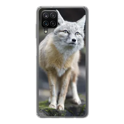 Produktbild von MuchoWow® Handyhülle Schutzhülle Hülle für Samsung Galaxy A12 Fuchs - Makro - Baum Silikon Softcase Handy Hülle - Bild
