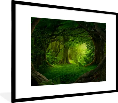 Produktbild von MuchoWow® Gerahmtes Poster Bäume - Wald - Grün - Landschaft - Natur 80x60 cm - Poster mit Schwarzem Bilderrahmen Wandposter Rahmen Foto Bilder - Schlafzimmer-Dekorationen - Fotoposter