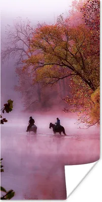 Produktbild von MuchoWow® Poster Pferde - Nebel - Wald 60x120 cm - Wandschmuck