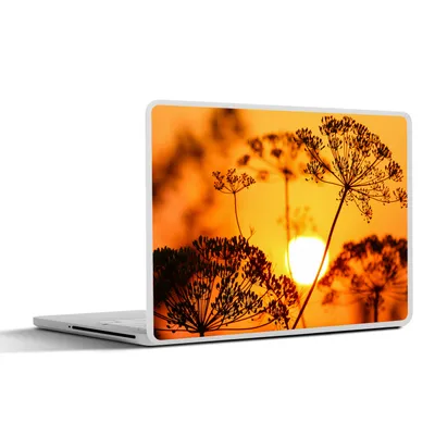 Produktbild von MuchoWow® Laptop Aufkleber Sticker Cover Pflanzen - Blumen - Sonnenuntergang - Orange 36.5x27.5 cm - Laptop-Sticker