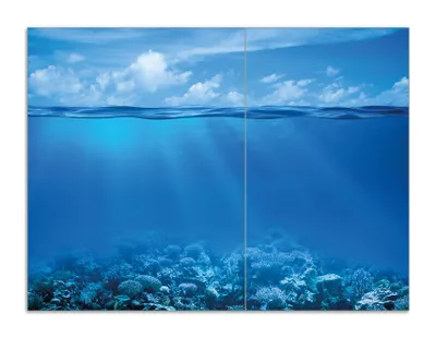 Produktbild von Wallario Herdabdeckplatte aus Glas, Größe 70 x 52 cm 2-teilig, Motiv Unterwasserwelt Meer