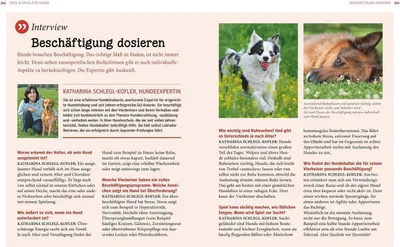 Image de Praxishandbuch Hunde