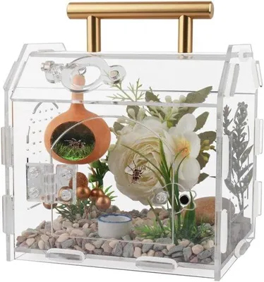 Produktbild von Famanu Acryl Terrarium für Insekten und Reptilien - Transparente Habitat 15 x 12 x 14 cm