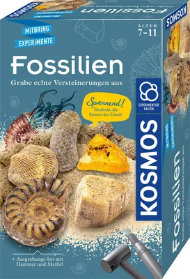 Produktbild von KOSMOS Fossilien