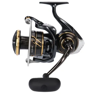 Image de Daiwa 23 CALDIA SW 8000-H (EU) moulinet spinning marin