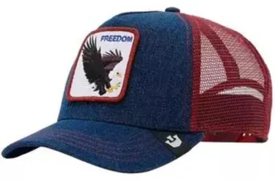 Produktbild von Goorin Bros Caps Freedom Eagle, 1010384NVY