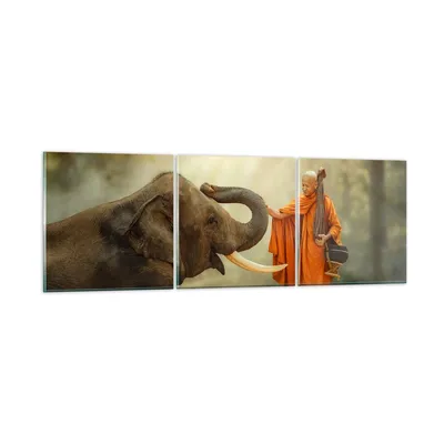 Produktbild von Bilder auf glas - Elefant Mönch Stoßzahn - 150x50cm - Glasbilder - Wandbilder - Kunstdruck - zum Aufhängen bereit - Wanddekoration aus Glas - Glas Bilder - Wandbild auf Glas - 3 Teile - GCA150x50-3484
