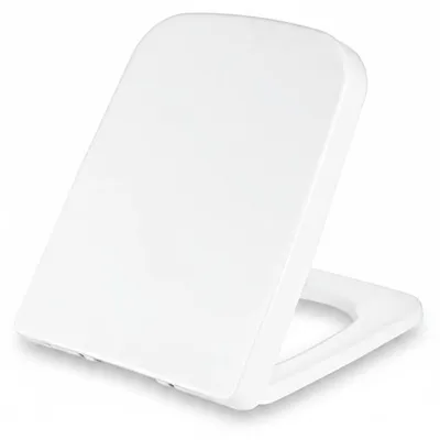 Produktbild von InAndOutdoorMatch - Toilettenbrille - Softclose - Duroplast