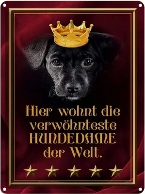 Produktbild von vianmo Blechschild 40x30 cm hier wohnt Hundedame der Welt Hund