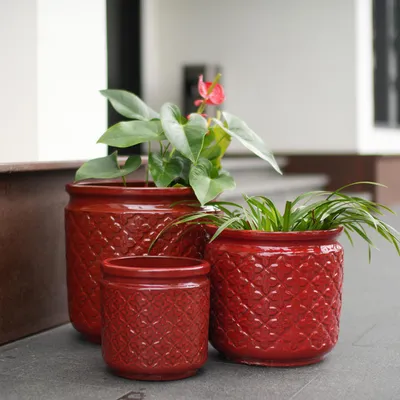 Produktbild von Handgefertigter Keramik Pflanztopf-Set 3-teilig (Ø 38/30, 5/23 cm), Glänzend Weinrot mit Ornament-Rautenrelief, atmungsaktiv, frostsicher