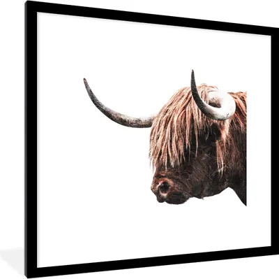 Produktbild von MuchoWow® MuchoWow® Gerahmtes Poster Schottisches Hochlandrind - Tiere - Hörner 40x40 cm - Poster mit zchwarzem Bilderrahmen - Poster - Plakat im Rahmen