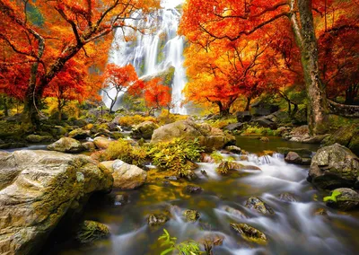 Productafbeelding van Puzzel: Herfstlandschap met waterval - 1000 stukjes