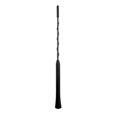 Image de Tige d'antenne de voiture AM/FM de remplacement de Lampa