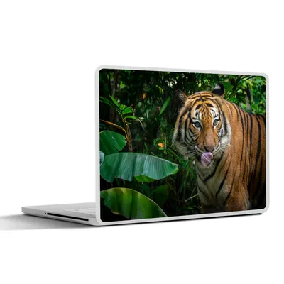 Produktbild von MuchoWow® Laptop Aufkleber Sticker Cover Tiere - Tropisch - Tiger 31x22.5 cm - Laptop-Deko