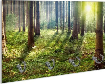 Produktbild von Wallario Handtuchhalter aus Glas, Motiv: Sonnenuntergang im Wald zwischen den Bäumen, 30 x 20 cm mit 4 Haken