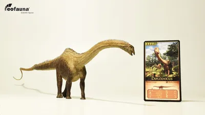 Produktbild von Eofauna FIG-007 Diplodocus 58 cm 1:40 Welt der Dinosaurier