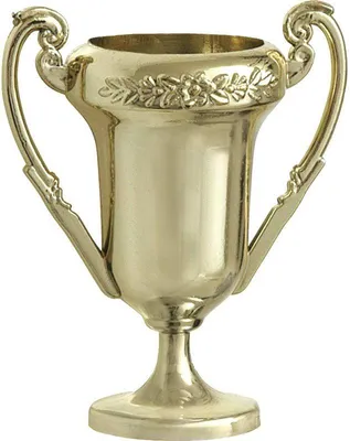 Produktbild von 4 goldfarbene Kunststoff-Siegertrophäen, 5,5 cm hoch, 5 cm tief, mit Beschriftungsfläche für Kinderfeste