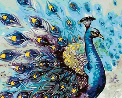 Produktbild von Zuty - Malen nach Zahlen - STOLZER PFAU, 40x50 cm, ohne Keilrahmen