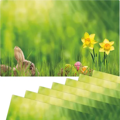 Produktbild von Abwaschbare Tischsets 8er Set Ostern Blumen Osterglocken