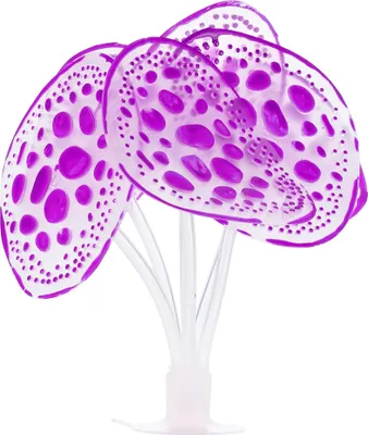 Image de Silicone Brillant Aquarium Simulation Corail avec Suceur, Pourpre