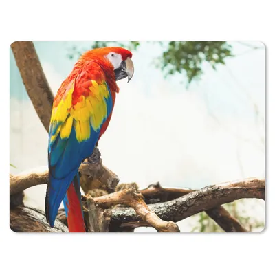Produktbild von MuchoWow® Mauspad Mousepad Papagei - Vogel - Regenbogen - Tropisch 40x30 cm - Mousepads - Maus Mat - Pad - Mausunterlage - Anti Rutsch