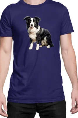 Obrázok produktu pre Mužské Tričko Dogs Breeds Border Collie Dog Breed 008, Man L / Tmavomodrá