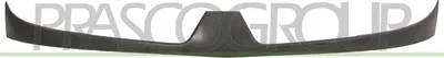 Produktbild von PRASCO RN9172021 Kühlergrill Frontgrill für RENAULT KANGOO (KC0/1)