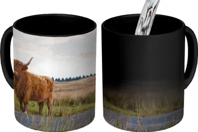 Obrázek produktu pro MuchoWow® Kouzelný pohár Skotský horal - kráva - podzim 350 ml Barva měnící se pohár Dárkový nápad - foto hrnek