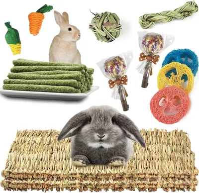 Produktbild von Grasmat für Kleintiere, 2 Stück, mit Kaufspeielzeug, für Kaninchen und Hamster