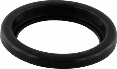 A black rubber ring, possibly a gasket or seal.