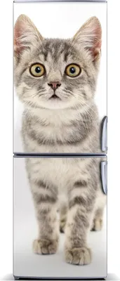 Produktbild von Tulup Kühlschrankdekoration - Magnetmatte - 70 cm x 190 cm - Magnet auf dem Kühlschrank - Graue Katze