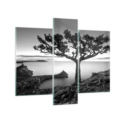 Produktbild von Bilder auf glas - 3 Teile - Baum Schwarzweiß Ansicht - 95x80cm - Glasbilder - Wandbilder - Bilder - zum Aufhängen bereit - Wanddekoration aus Glas - Glas Bilder - Wandbild auf Glas - GCB95x80-4297