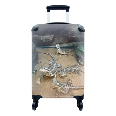 Produktbild von MuchoWow® Koffer Handgepäck Trolley Rollkoffer Kleine Reisekoffer mit 4 Rollen - Vier Eidechsen zwischen den Felsen - Cabin Size < 55x40x23 cm & 55x40x20 cm - Fotokoffer - Kabinenkoffer - Boardgepäck - Reise-Box - Reisekoffer - Reisegepäck - Koffer mit Bild - Trolley für Kinder