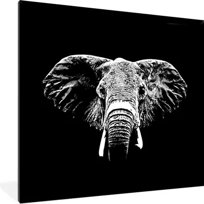 Produktbild von MuchoWow® Gerahmtes Poster Elefant - Tiere - Schwarz - Weiß 40x40 cm - Poster mit Schwarzem Bilderrahmen Wandposter Rahmen Foto Bilder - Mit Rahmen - Wanddekoration Schlafzimmer