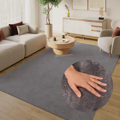 Obrázek produktu pro Koberec s krátkým vlasem LUMI, tmavě šedá barva, vhodný do obývacího pokoje, omyvatelný,  ÖKO-TEX, rozměry 80 x 150 cm