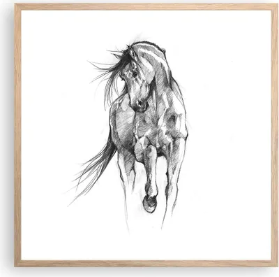 Produktbild von Gerahmtes Poster - Rahmen in heller Eiche - Pferd Galopp Tier - 60x60 cm - Wand Bild - Wanddeko - Wandbilder - Kunstposter - Wandposter - Bilderrahmen - Bilder - Kunstdruck - P2NAC60x60-5080