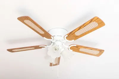 Image de Ventilateur de plafond Pepeo Kisa Deluxe Blanc 105 cm pales Chêne / Noyer avec éclairage