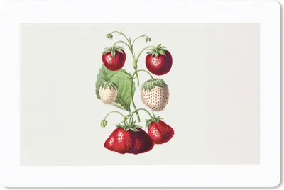 Produktbild von MuchoWow® Mauspad Mousepad Erdbeeren - Obst - Gesund 27x18 cm - Mousepads - Maus Mat - Pad - Mausunterlage - Büroartikel - Desk Matten