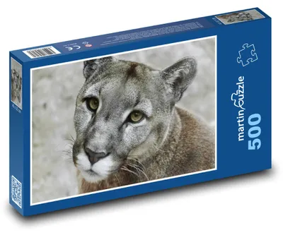 Produktbild von Puzzle 500 Puma in der Wildnis - martinpuzzle