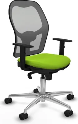 Image de Bürostuhl Piqueras y Crespo 1D086N0 Pistazienfarben