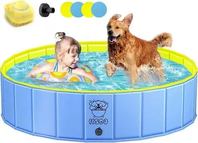 Produktbild von Famanu Hundepool für große und kleine Hunde - L - Hundepool