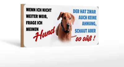 Produktbild von Holzschild Tier Spruch 27x10cm Hund schaut aber so süß