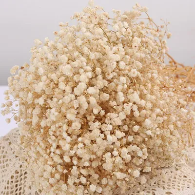 Produktbild von Atemberaubendes Blumenbouquet mit elfenbeinfarbenen Blumen für Hochzeiten und Büropartys - Trockenblumen für Tischvase und Kranz - Länge 437 cm