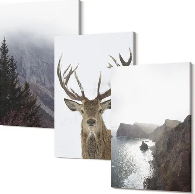 Obrázok produktu pre Foto Na Plátno – Obraz Na Plátne – Fotoplátno – Viacdielne Obrazy – Tlač Fotografii – Rám Z Dreva – Matné Plátno – Nástenné Umenie – Set 3 Kusy – 40x60 Cm Každý – Horská krajina s hmlou, vodou a jeleňmi