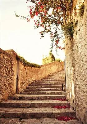 Produktbild von Wallario Poster - Steinerne Treppe in Italien, Kunstdruck Größe: 70 x 100 cm