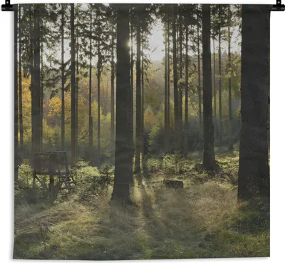 Produktbild von MuchoWow® Wandteppich Wandbehang Wald - Sommer - Sonne 60x60 cm Tapisserie Dekoration Wandtuch - Dekorationen - Wand Decke