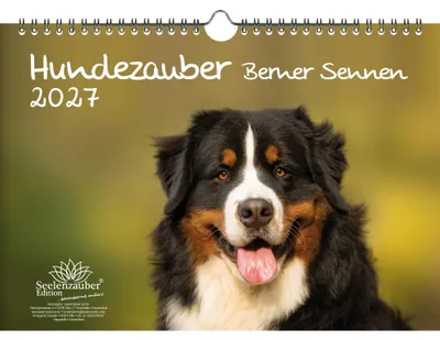 Produktbild von Hundezauber Berner Sennen DIN A4 Kalender für 2027 Welpen und Hunde - Seelenzauber