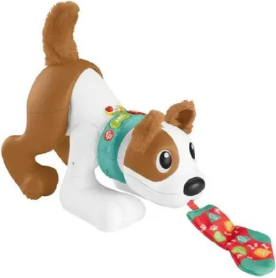 Immagine prodotto di Fisher-Price Cagnolino 123 Gattona con me (Mattel HGY57) MATTEL
